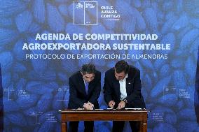 Protocol signed for access of Chilean almonds to China
